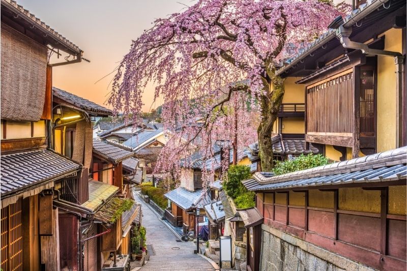 Kyoto en flor