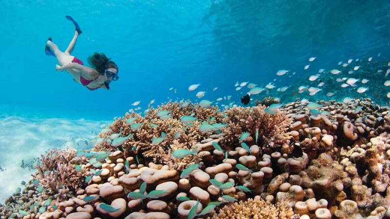 Arrecife de coral en Maldivas