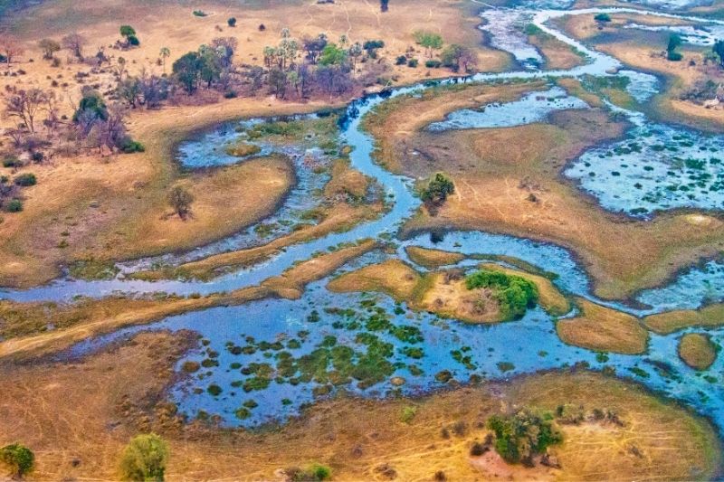 Delta-Okavango