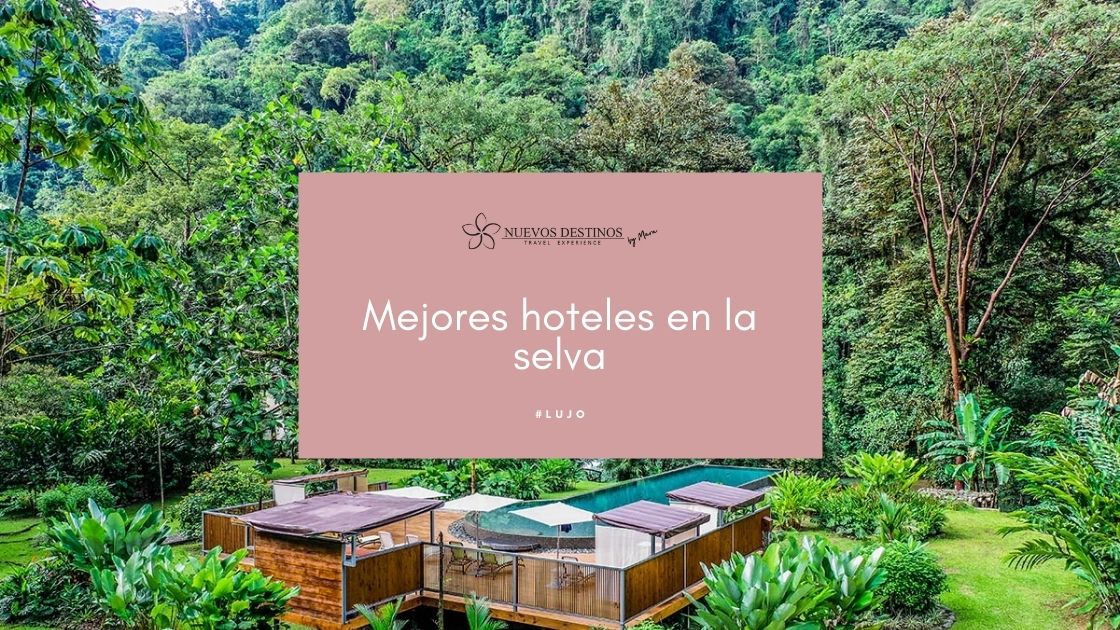 Los 8 mejores hoteles en la selva