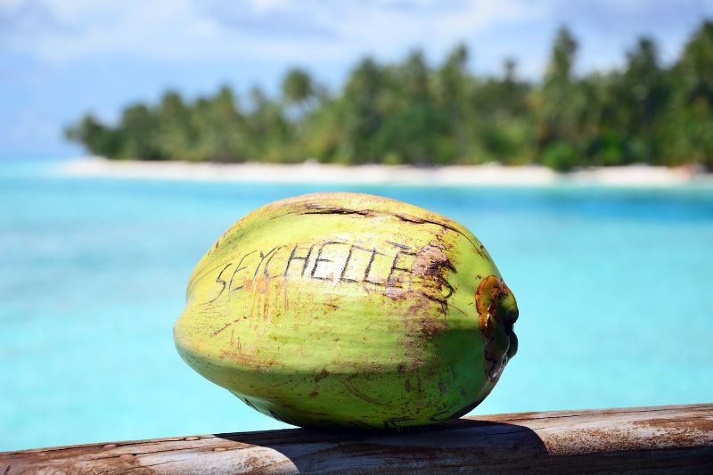 Coco en Seychelles