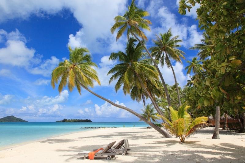 Playa con palmeras en Bora Bora