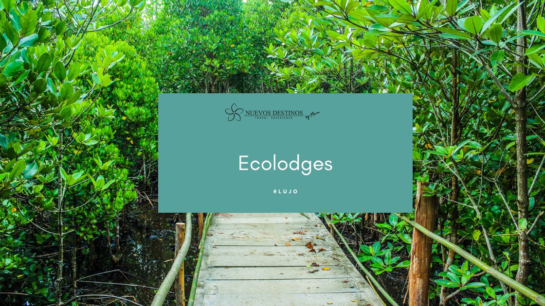 Ecolodges: qué son y dónde encontrar los mejores