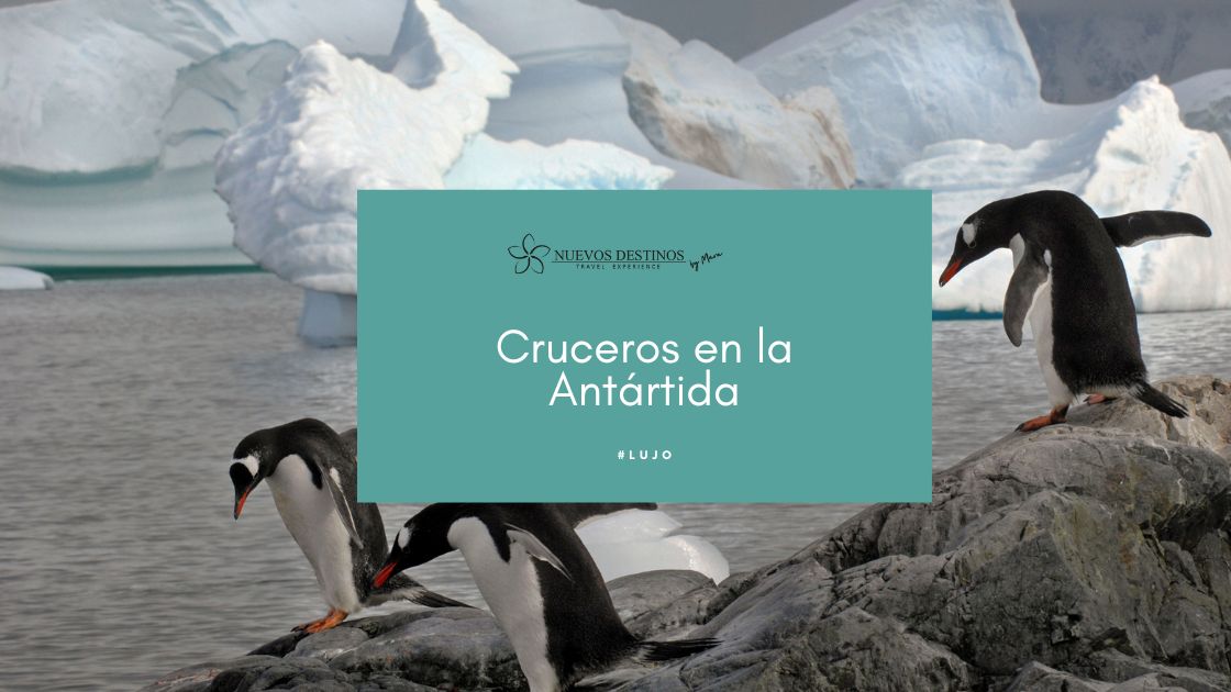 ¿Cómo hacer cruceros en la Antártida?