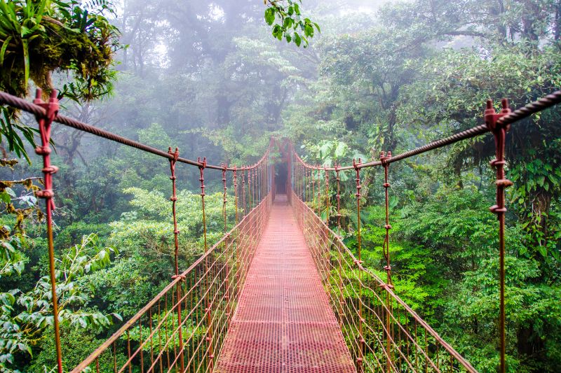 Reserva Bosque Nuboso Monteverde