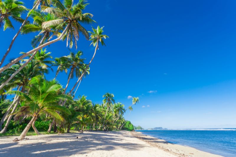 Playa de Samoa
