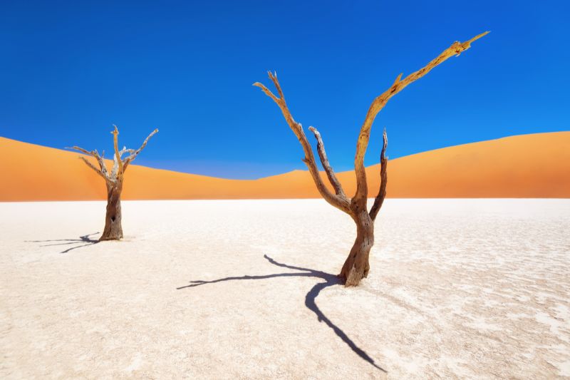 Desierto de Namib
