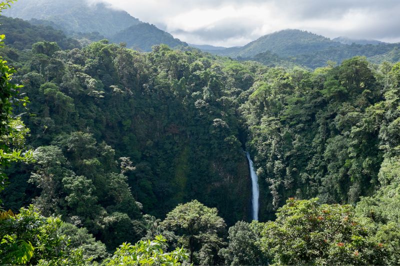 Cascada de Monteverde
