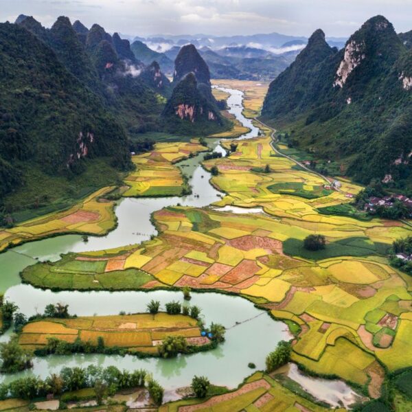 Vietnam