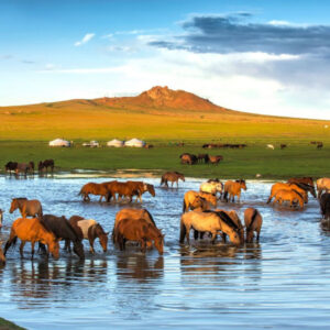 Mongolia